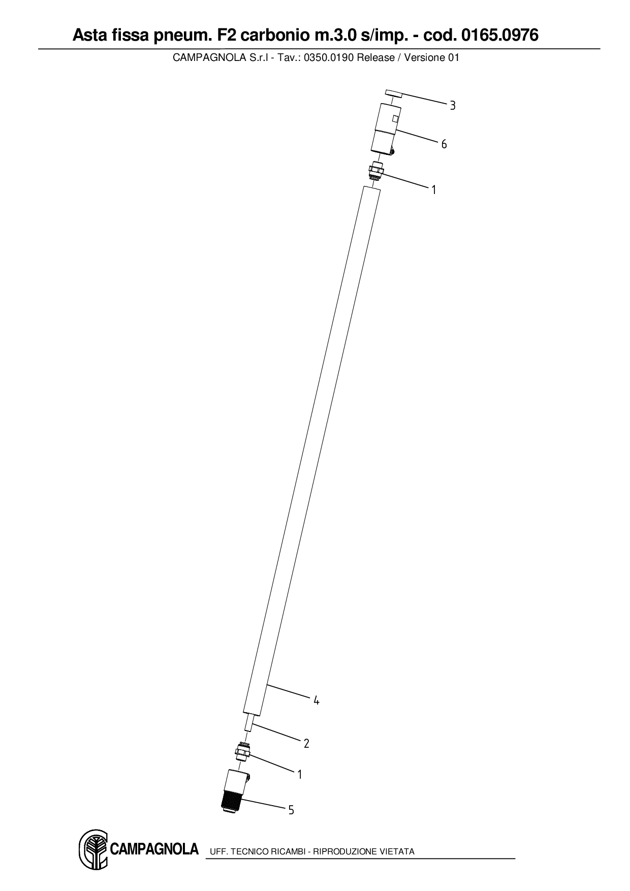 0165.0976_Asta fissa pneum. F2 carbonio m. 3.0